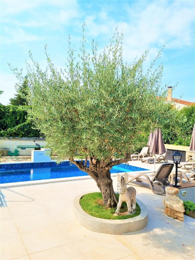 Apartment Villa Engel With Pool Porec Bagian luar foto